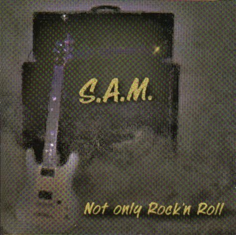 samfront.jpg (57474 Byte)